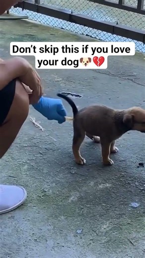 I beg you to stay for 5 seconds, share and subscribe #subscribe #subscribersonly #youtuberchannel