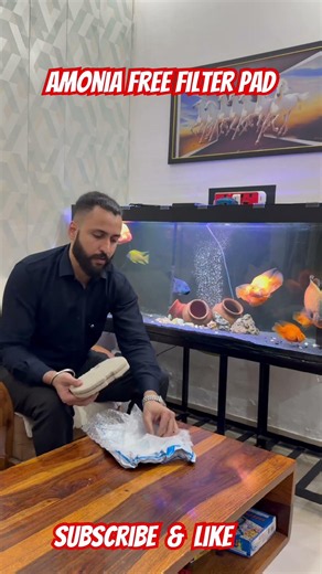 Best filter for aquarium #fishkeepinghobby #aquarium #fish #oscarfish