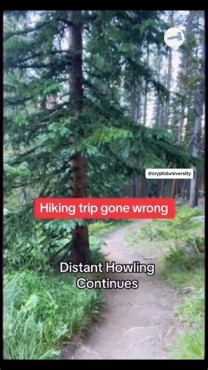 Two women hiking through the forest suddenly hear a strange sound that freezes them in there tracks! | Cryptid University