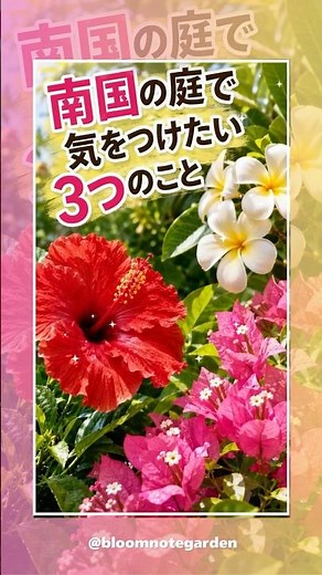 Did You Know Hibiscus Flowers Do THIS in a Day...? 3 Secrets About Tropical Flowers #SummerFlower...