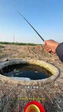 Sốc: Giếng cổ 30 năm không cạn giấu toàn 'Thủy quái' vảy vàng, vừa câu vừa run sợ bị phát hiện!