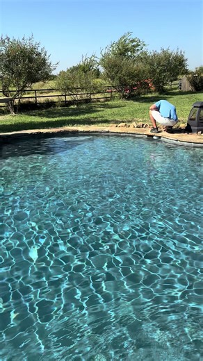 Can anyone guess what we found in the skimmer basket? 😳 #poolcleaning #pool #pooltok #find #eek