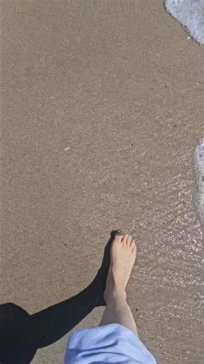 발을 빌려드려요!!!같이 걸어요~