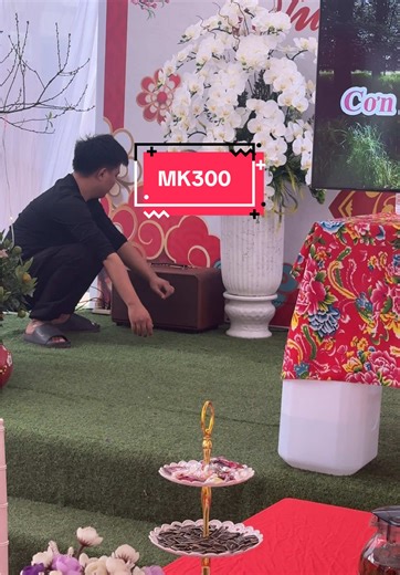 2 em này có đủ cân tiệc nhỏ không các bác#VBAudio #loanghenhac #loabluetooth #MK300