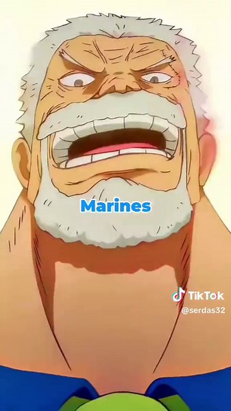 Exploring Life in the One Piece Anime Universe