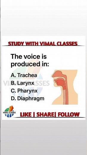 🩸 anatomy MCQ | DMLT Practical Knowledge