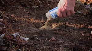 Watch Code Blue Grave Digger Scrape Mate 12 oz on Amazon Live