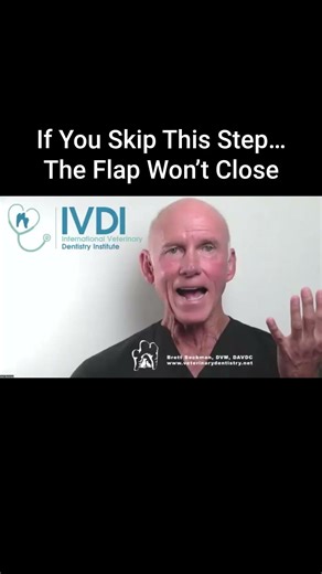 Why Your Feline Canine Extraction Won’t Close