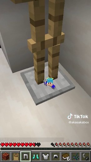 マインクラフトでかくれんぼドッキリ！