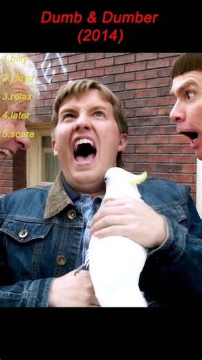 Dumb and Dumber To (2014)｜Lloyd & Harry Meet Billy — Chaos Ensues 😂🤯