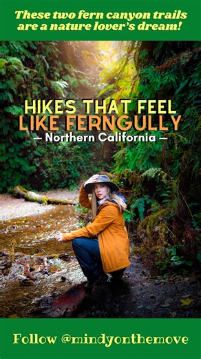 These California hikes give major FernGully vibes! 🧚🏼‍♀️🌿😍👇🏻 Obsessed with hiking lush green forest trails like me?! Then you have to explore these two fern canyons tucked along Northern California’s coastal redwoods. They’re truly a nature lover’s paradise! 📌 Save this for your next California hiking adventure and share with your best hiking pals! 🥾 Need-to-know info for hiking these enchanting trails: 🌿Fern Canyon Trail in Prairie Creek Redwoods State Park: •Many people know this more