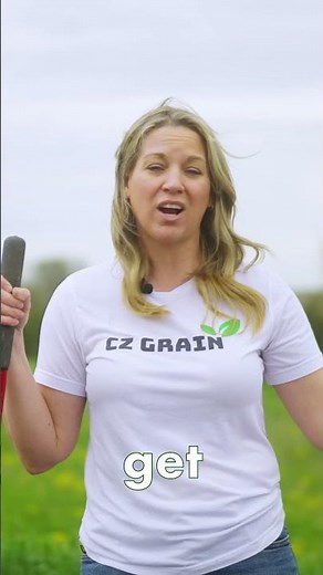 Rye Grass Planting: Tips for a Lush Garden