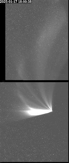View of Comet C/2024 G3 Approaching Sun | European Space Agency Solar Orbiter FriendsofNASA.org: The European Space Agency Solar Orbiter captured these views of Comet ATLAS (C/2024 G3) as it passed close to the Sun. Notice the splintered tail. It is said that this comet will not be seen again for another 600,000 years. Nicknamed the "Great Comet of 2025," Comet C/2024 G3 (ATLAS) is currently the brightest comet predicted to be visible from Earth all year. Discovered on April 5, 2024 by NASA's As