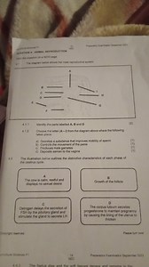 4. ANIMAL REPRODUCTION4.1 The diagram below shows the male re... | Filo
