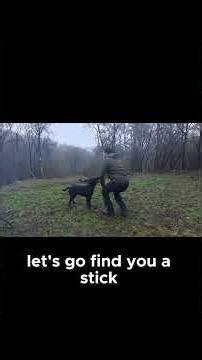 DIY Fire Pit Made from a Tractor Wheel