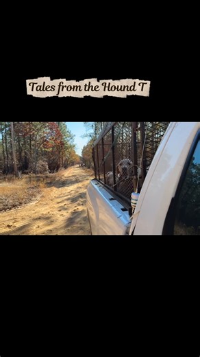 1.4K views · 18 reactions | Road Whip Russ and hunt husband Phil...