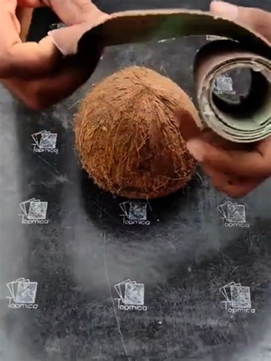 Home decoration light making with coconut shell _ DIY craft idea _ coco crab #coconut #coco #craft #viral #fyp