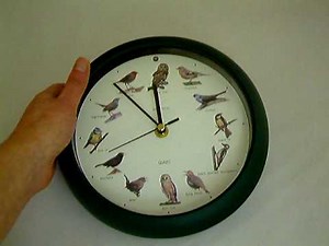 Bird Song Clock from www.thepresentfinder.co.uk