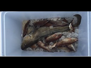 NJ Deep Sea Wreck Fishing