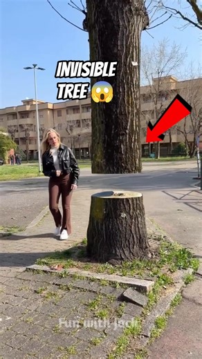 Reality of Invisible tree 🌳 wood working art_hand crafts_#shorts