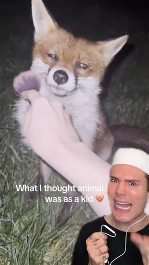 TESTING MAKEUP ON ANIMALS!😱 #makeuphacks #makeupshorts #makeuptips #makeuptutorial #beautyhacks