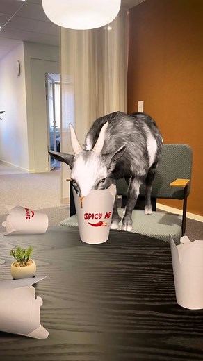 we've all been there, don't lie #goatsimulator #pilgor #foryou #foryoupage