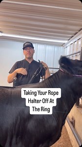 Stock Up Supply on Instagram: "How to take your rope halter off without slipping your show halter off #livestockshow #cattleshow #livestock #showcattle #ffa #showsteer #4h #cattle #showheifer #steershow #clippingcattle #steer #heifer #heifershow"