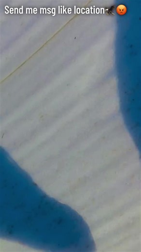 Come here send me msg like location I am gonna come comment in English😁😝 just for a fun@ƒα∂เเเ ҡɦαɳ 🦅🫠 @shabbir MMA 🦅fighter👑 @️ @Tariq Khan @❤️‍🔥SALMAN The EAGLE 🦅 @shah Fahad khan boxer @✨ معاویہ مسعود 🦁 @jahanzab burki