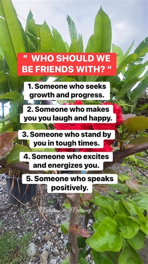 #Amazing #lifestyle #knowledge #friends | Melanie A. Martinez