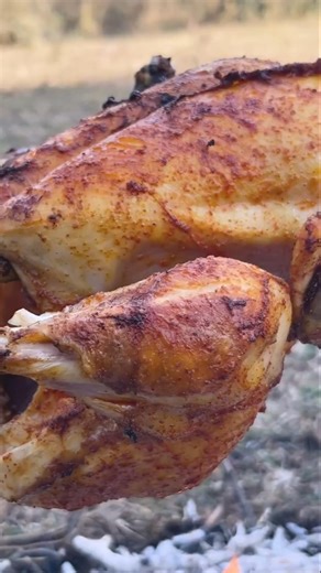Forest Cooking: Whole Chicken Recipe in the Wild | Relaxing Nature Sounds