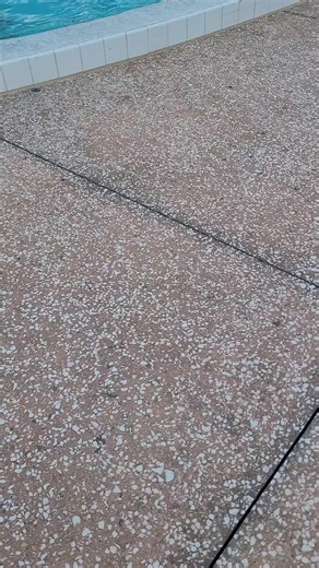 POOL DAY AT THE MAIN POOL HERE AT DISNEY RESORT 🙂, MUISC FROM THE POOL ON THIS VIDEO AND LOTS OF GAMES BEING PLAYED ▶️ 😀 🙂 👍 #disney #disneyworld #pool #entertainment #games