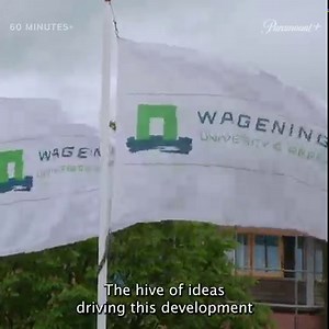 The Netherlands is leading a food revolution. With the help of nearly 60 square miles of greenhouses, the small country is devoted to figuring out how to feed the world’s growing population, without destroying the planet. Seth Doane reports on Paramount . https://cbsn.ws/2QdPRUG | 60 Minutes