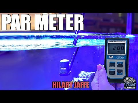 PAR METERS - How to Measure Light In Your Aquarium - Hilary Jaffe