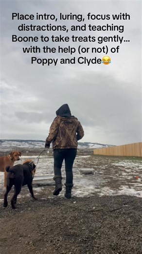 Muddy Paws Pet Care & Training Services on Reels