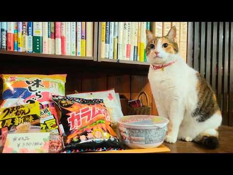 I Stayed at a 170-Year-old Japanese Hot Spring Inn Where Cats Live 🐈 | Tajima Honkan ♨️ | Kagoshima
