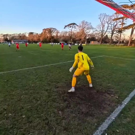 Goalkeepers Saves Compilation: Best Football Stops