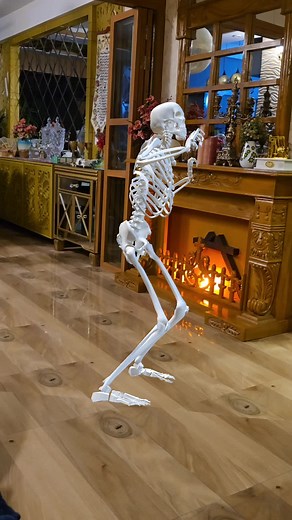 RobinRafan (@robinrafan)’s videos with original sound - 4:00 AM