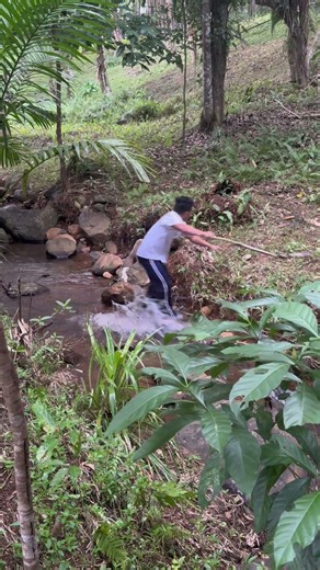 Omg big snake in the deep will