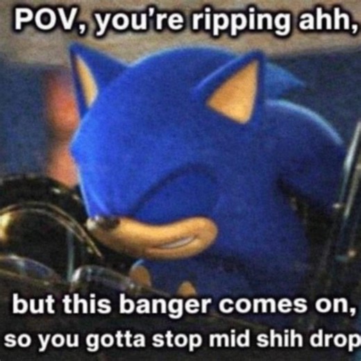 ITS SO TRUE THO💀 #sonicthehedgehog #song #music #poop #sonic #sonicunleashed
