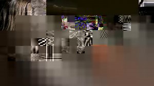 The Behavioral Modification Program is more than just training. It’s about giving our pets the confidence they need to shine. | KMBC 9