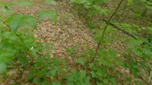 Literally the slowed crash I’ve had😂