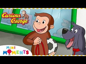 Where Has Charkie Gone!? 🐶 | Curious George | Mini Moments