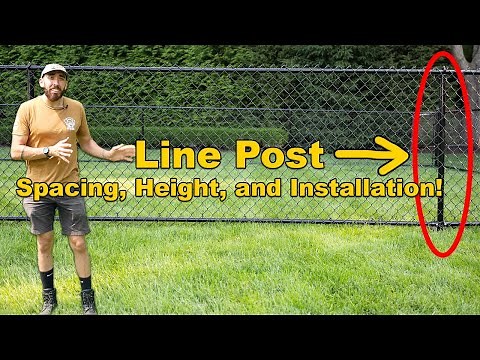 Chain Link Fence Line Post