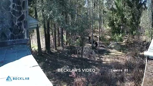 Becklar Video Remote Guarding - Call Down Video #15 | Becklar Monitoring