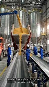 How Soybeans Become Golden Cooking Oil in a Factory! 🫘➡️🛢️#trending #factory #ytshorts #usa