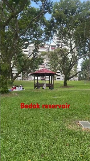Bedok reservoir walking tour |4k #walkingtour #park