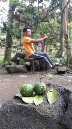 easy photograpy.......#videoediting #easy #beginners #photography