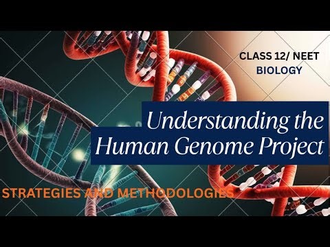 HGP/HUMAN GENOME PROJECT/ STRATEGIES AND METHODOLOGIES/ CLASS 12/ NEET BIOLOGY