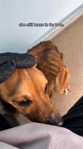 1.1K views · 119 reactions |  퐆퐈퐕퐈퐍퐆 퐓퐔퐄퐒퐃퐀퐘 | 퐌퐞퐞퐭 퐕퐞퐞퐫퐚 ...