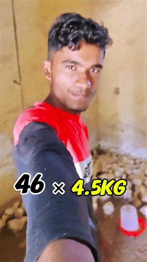 ek murgi ko palan Kitna profit hota Hai 😁# short #new #mrbeast #trending